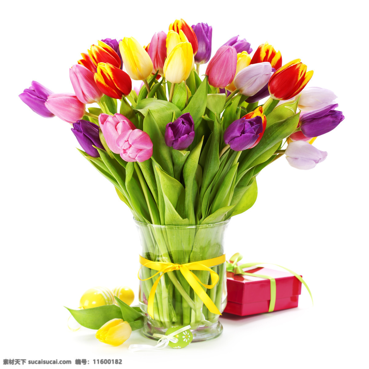 礼物 盒 郁金香 植物花朵 花瓣 美丽鲜花 漂亮花朵 花卉 鲜花摄影 花草树木 生物世界