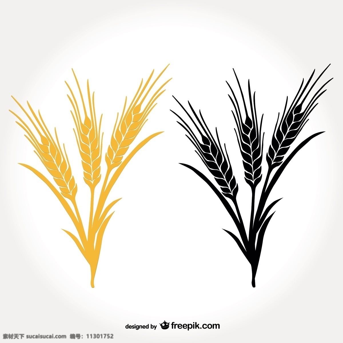 小麦穗 夏天 图标 自然 图形 小麦 轮廓 花环 有机 农业 元素 田野 符号 种子 图标集 简单 白色