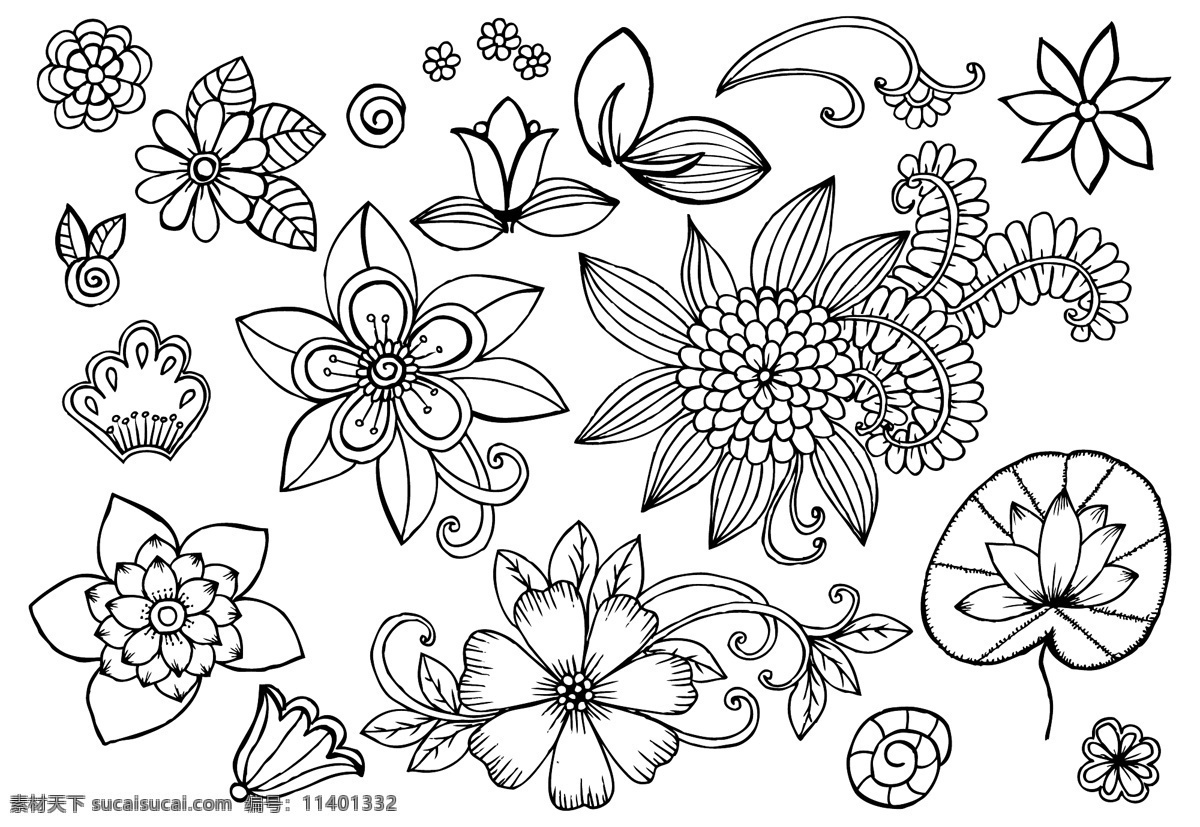 手绘 黑白 植物 插画 花朵
