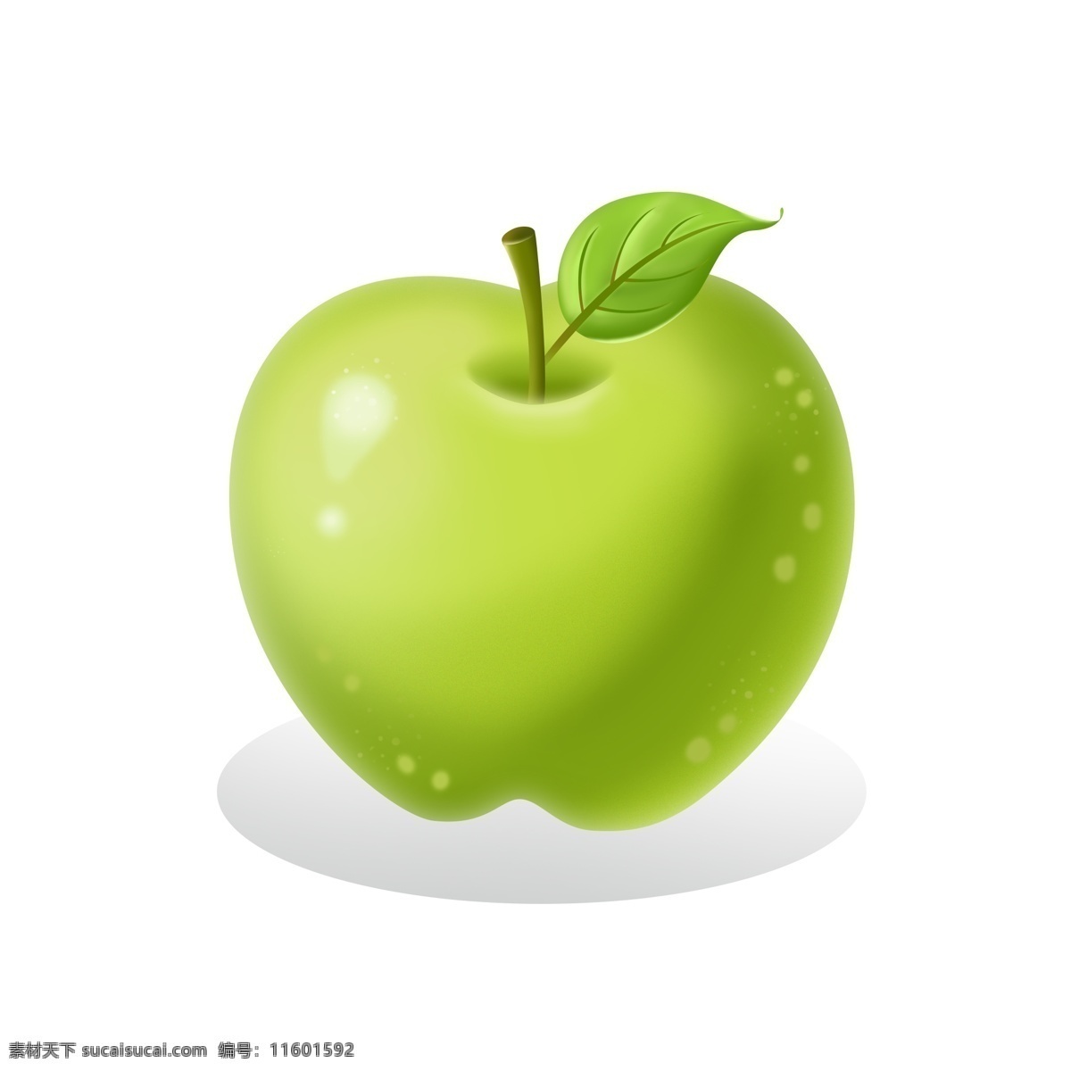 平安夜 苹果 绿色 手绘 新鲜 水果