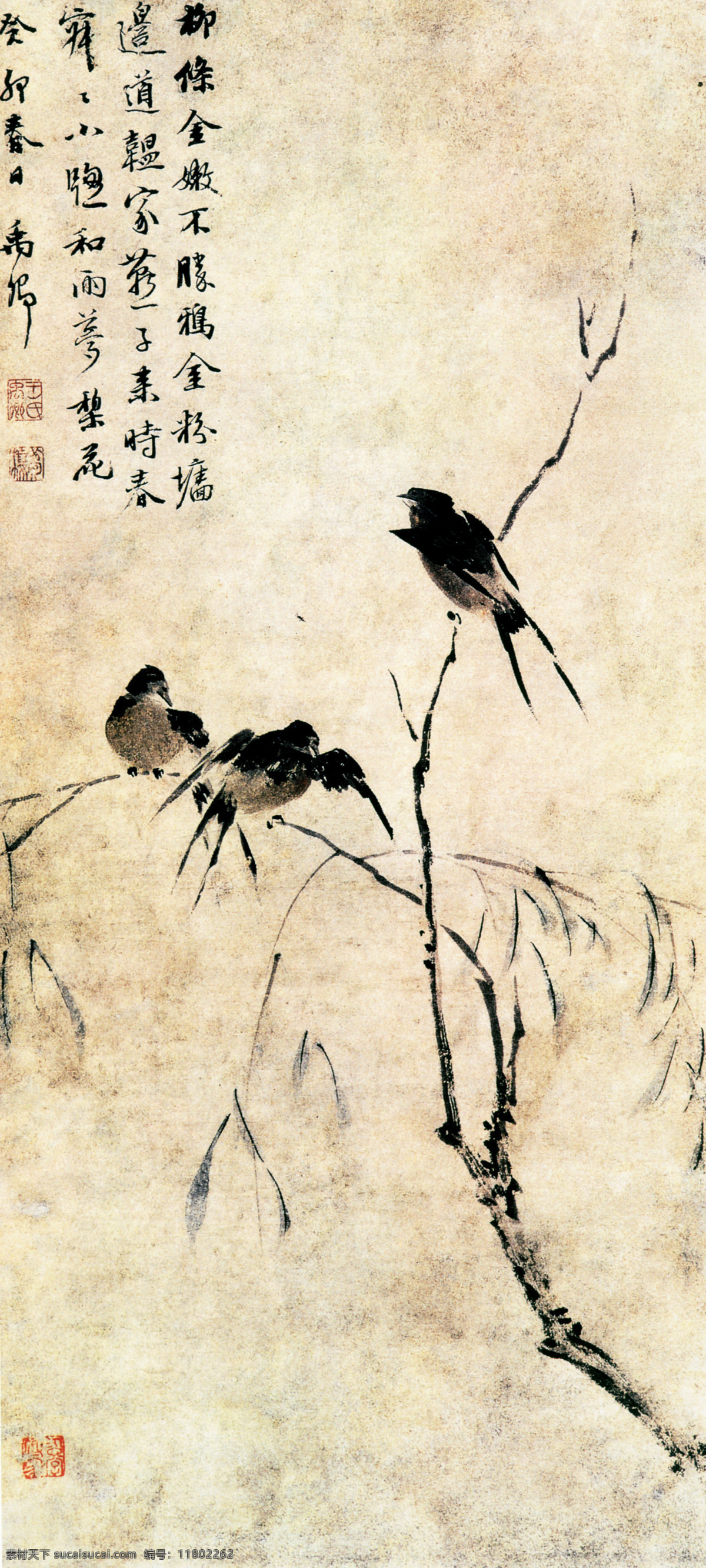 牡丹花 白鹤 丹顶鹤 动物 柳絮 梅花 飘絮 树干 树枝 杂草 竹子 植物 中国风 中华艺术绘画 文化艺术