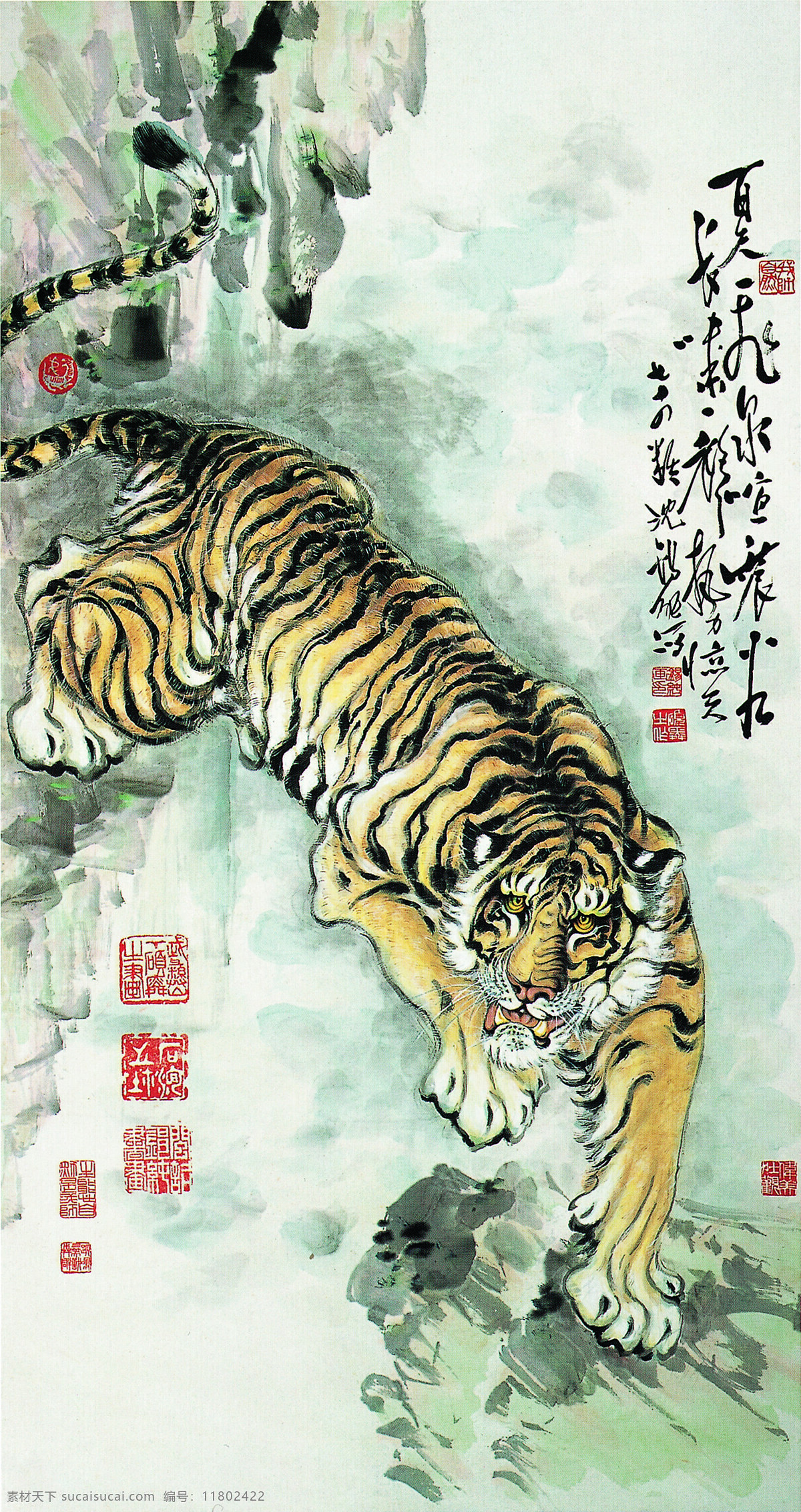 猛虎 山中老虎 虎图 文化艺术 绘画书法 设计图库 联邦设计