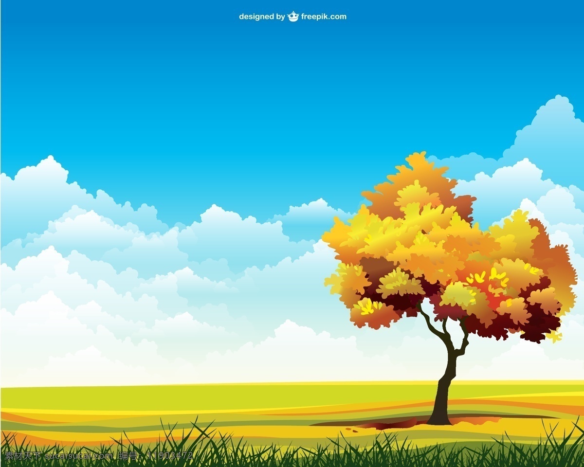 秋天的景色 背景 树 云 太阳 自然 天空 模板 草 春天 景观 绿色背景 壁纸 布局 植物 插图 青色 天蓝色