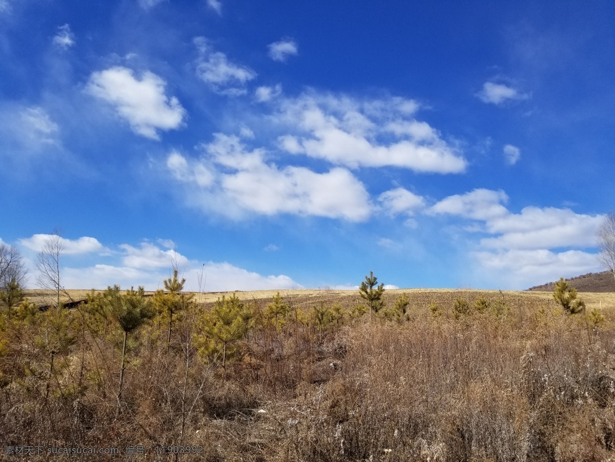 风景图片 山 蓝天白云 蓝天 白云 树 落叶树 松树 冬天的松树 自然景观 山水风景