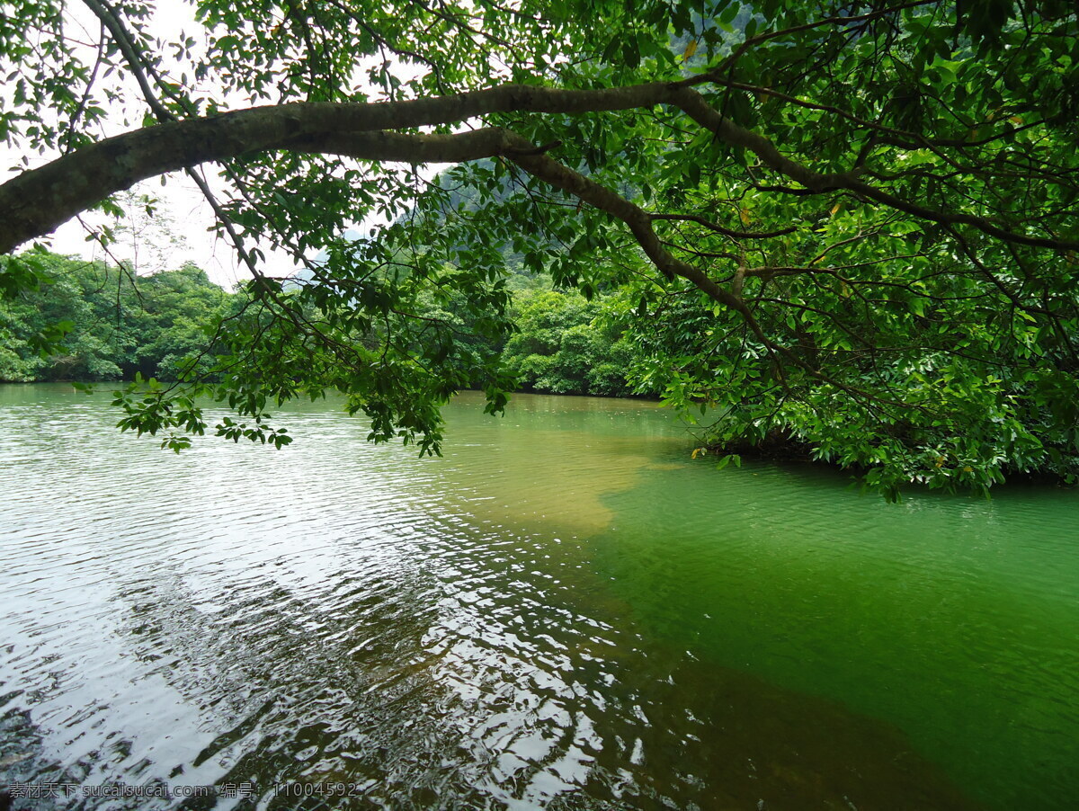 春天 恩城 小溪 河流 大新县恩城 风景山水图 崇左大新恩城 崇左 大新 山水图 山水风景 自然景观