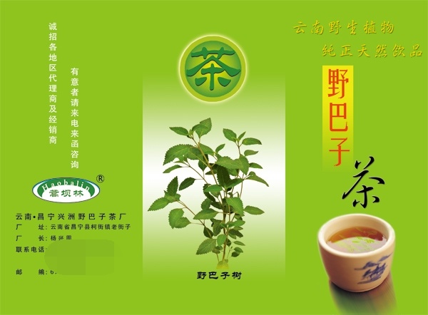茶叶文化 展板 宣传单 源文件 绿色