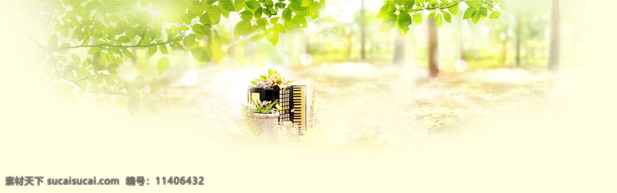 清新 绿色植物 淘宝 全 屏 banner 背景 绿色大树 森林