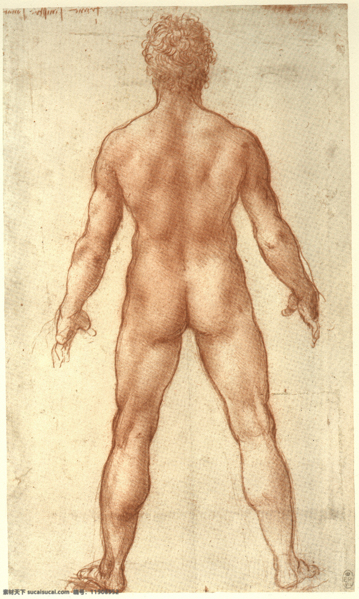 人体素描 设计素材 人体专辑 素描速写 书画美术 黄色