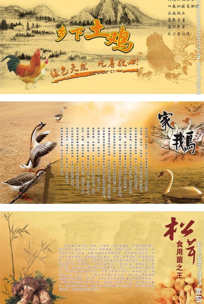 餐厅 贴画 鹅 其他设计 土鸡 艺术画 矢量 模板下载 餐厅贴画 松茸 矢量图 建筑家居