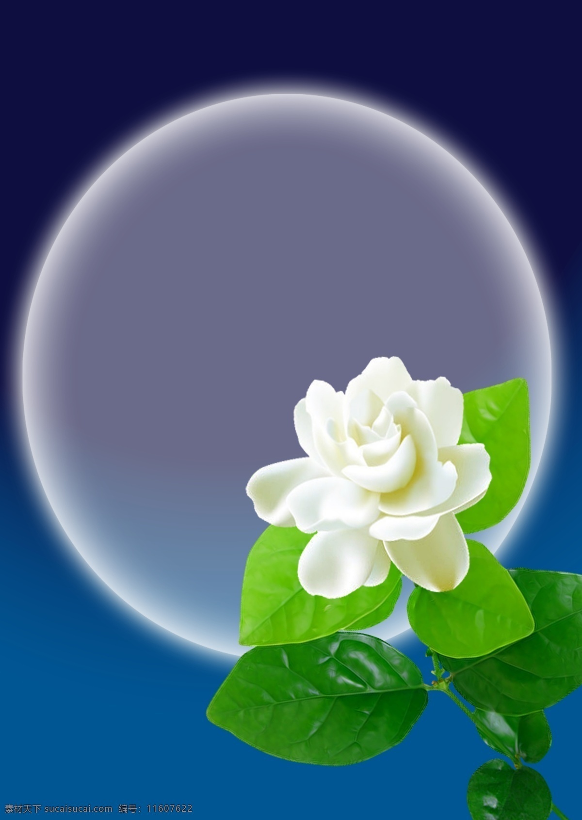 茉莉花 月亮 蓝天 绿叶 寂静的夜 插图 分层 源文件