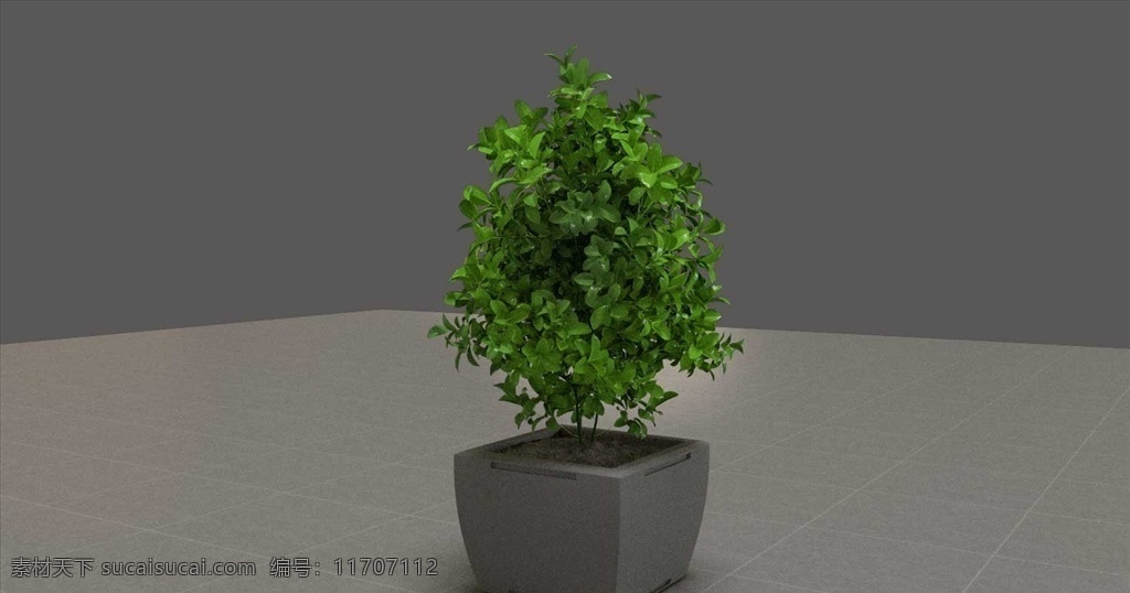 盆栽 花盆 植物 绿植 景观 c4d 3d redshift 模型 3d设计 其他模型