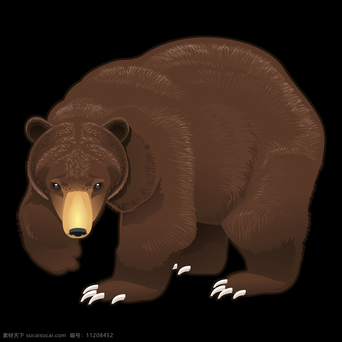 熊图片 透明底熊 png图 免扣图 卡通熊图片 透明底图片 卡通棕熊 卡通泰迪熊