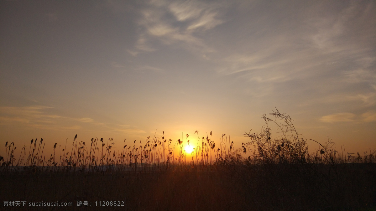 温和的日出 日出 日落 夕阳 地平线 日出剪影 日落剪影 残阳 芦苇 麦田 凌晨 摄影设计 自然景观 自然风景