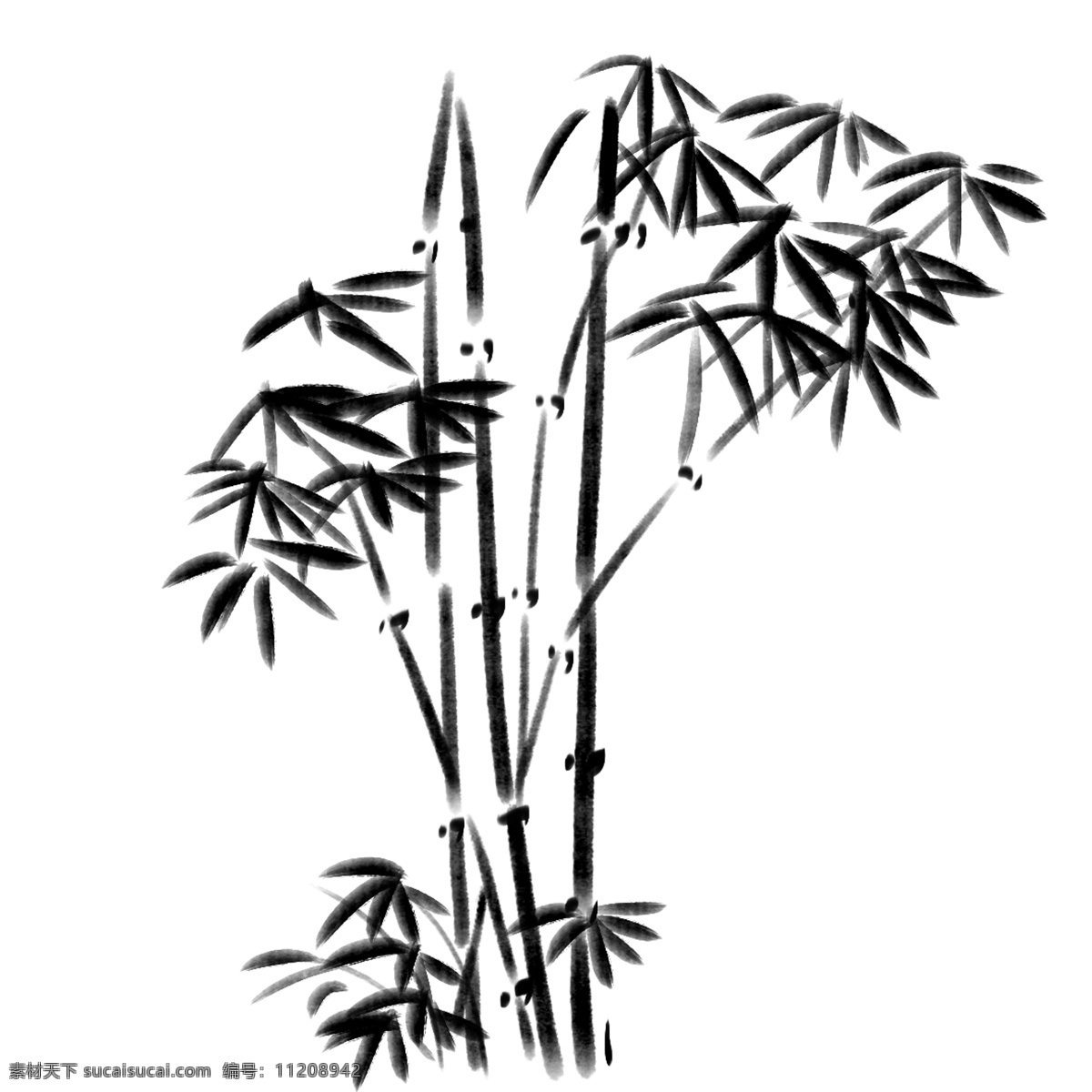 手绘 竹子 装饰 插画 手绘竹子 卡通竹子 竹子装饰 叶子插画 黑色的植物 漂亮的竹子 竹子插画 黑色的叶子