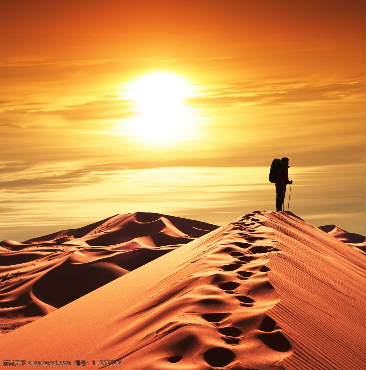 沙漠 中 行走 人 夕阳 坚持 自然景观 自然风景