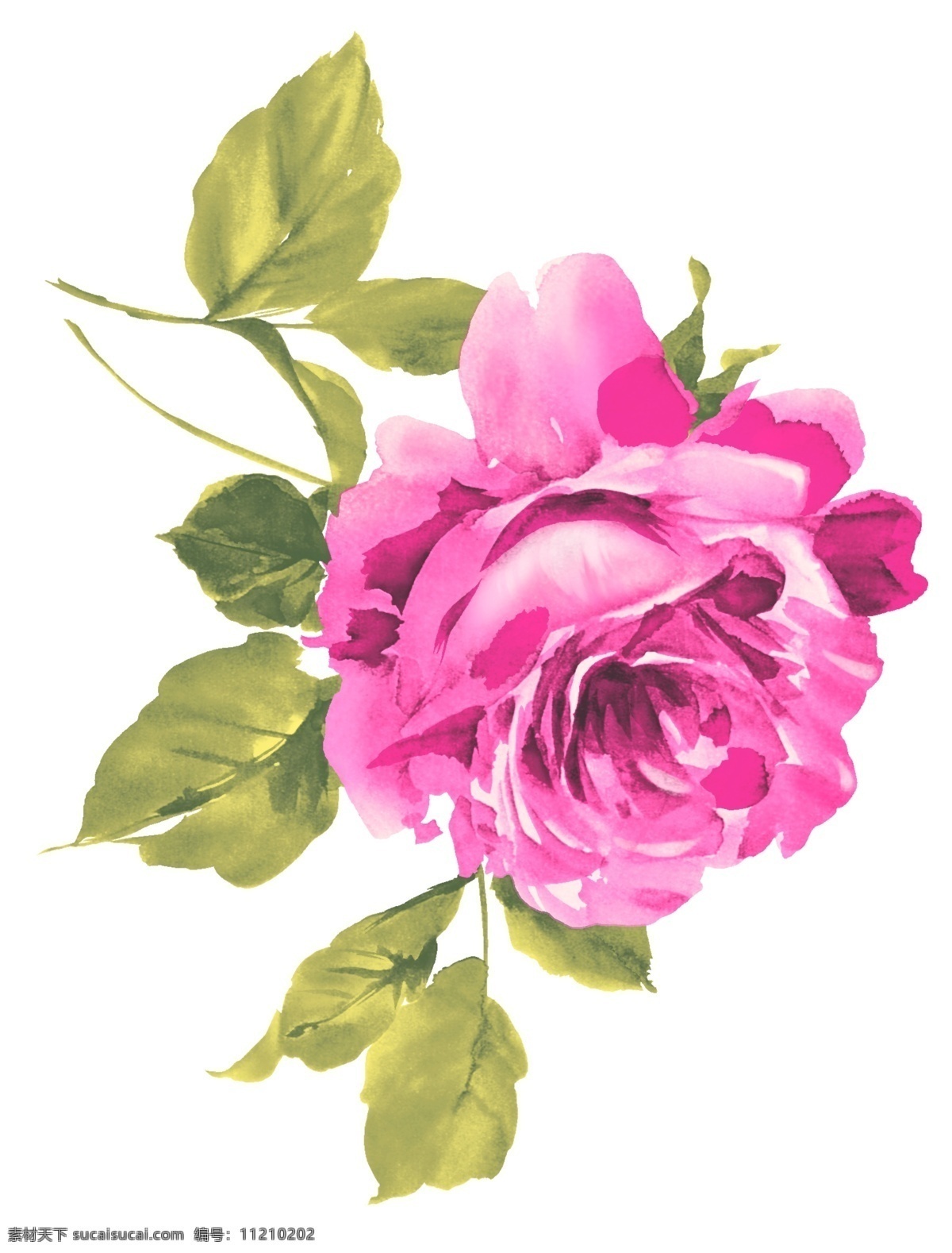 手绘花 花朵 玫瑰花 水彩手绘 印花 设计素材 手绘 花卉 水彩 文化艺术 绘画书法