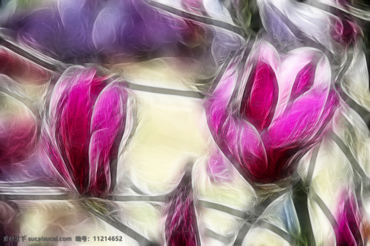 植物 花卉 炫 光光 影 效果 无 框 画 装饰画 光 轮廓 光影 家居装饰素材