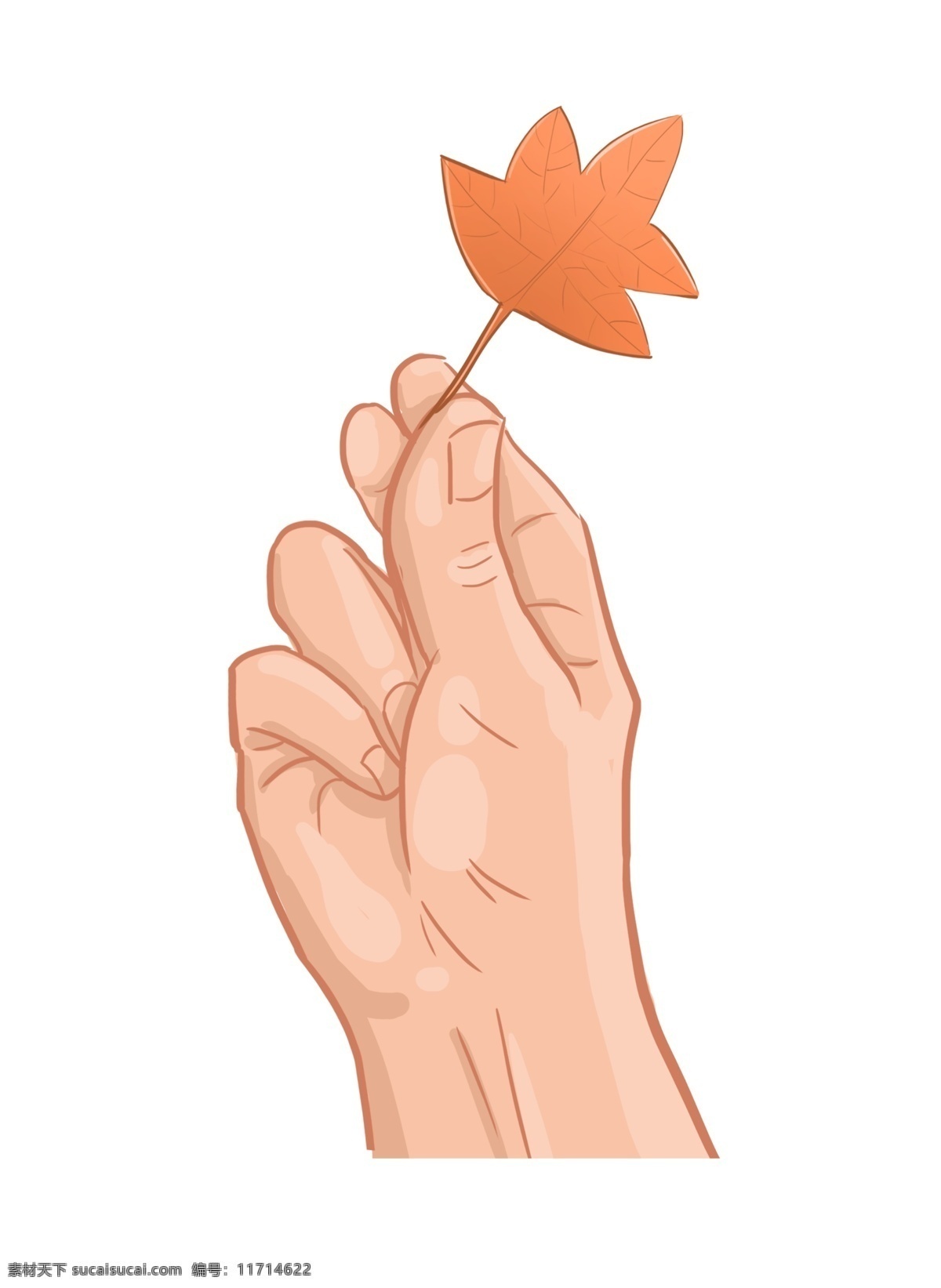 手 抓 黄色 树叶 插图 漂亮的树叶 黄色树叶 秋季树叶 手抓树叶 一只手 植物树叶 创意卡通 图案插画