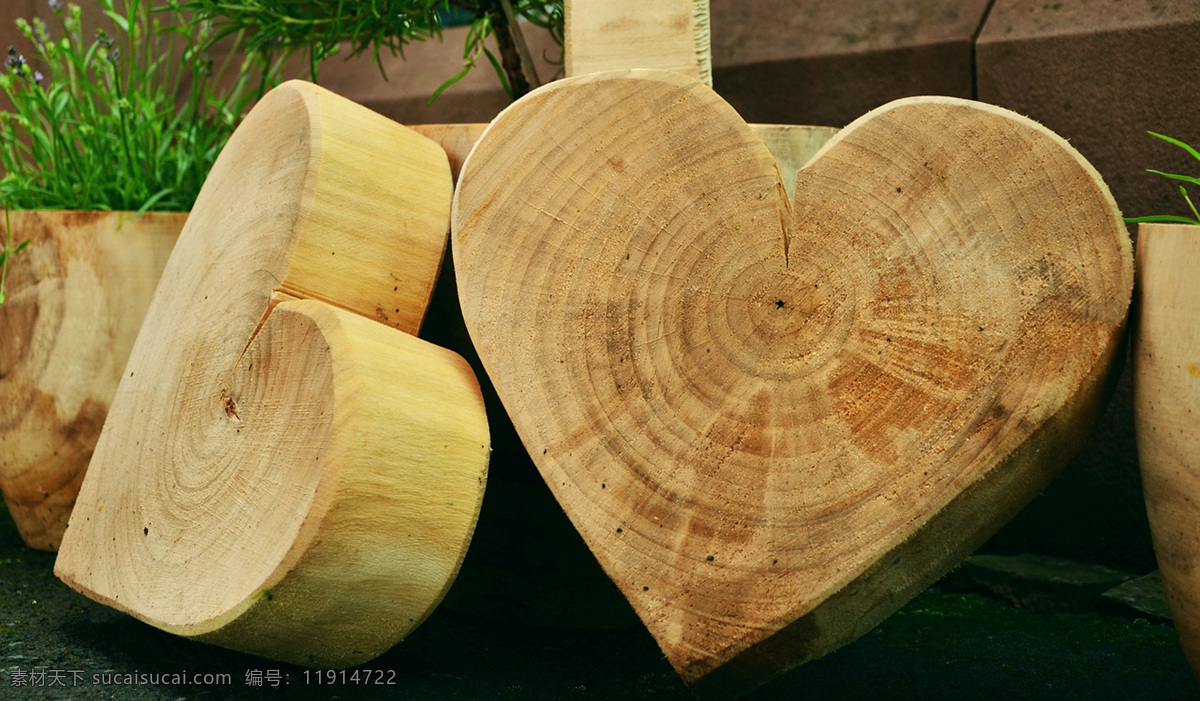 木桩 柴 燃料 树木 木板 木块 木料 旧木料 树干 树 木头素材 木屋