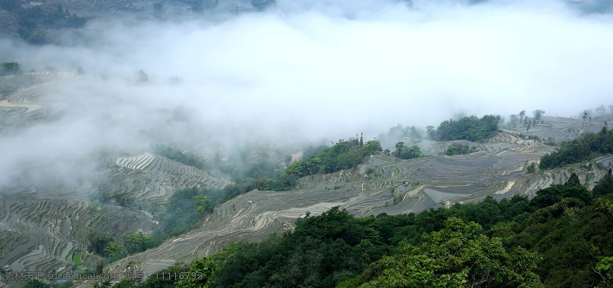 哈尼梯田 元阳梯田 梯田 哈尼族风光 云南梯田 自然景观 山水风景