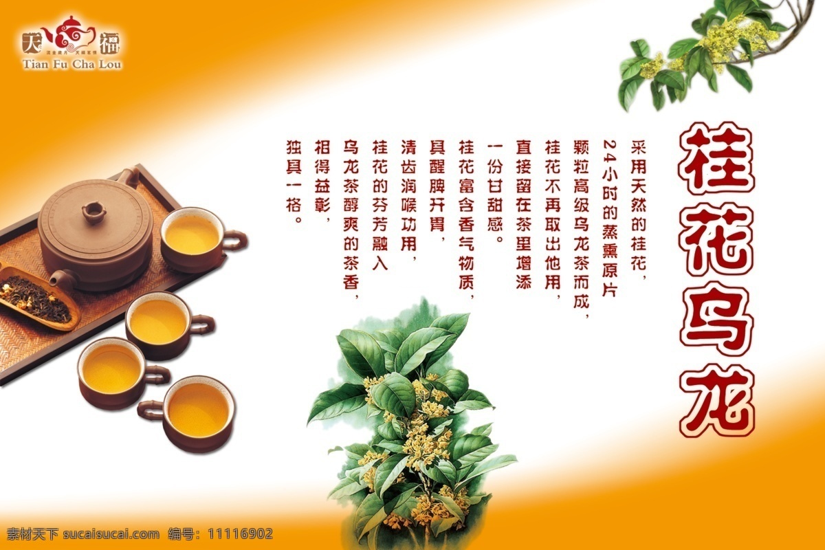 桂花 乌龙 pop 吊牌 桂花乌龙 乌龙茶 铁观音 茶具 茶壶 茶杯 设计图库 源文件库 广告设计模板 源文件 招贴设计