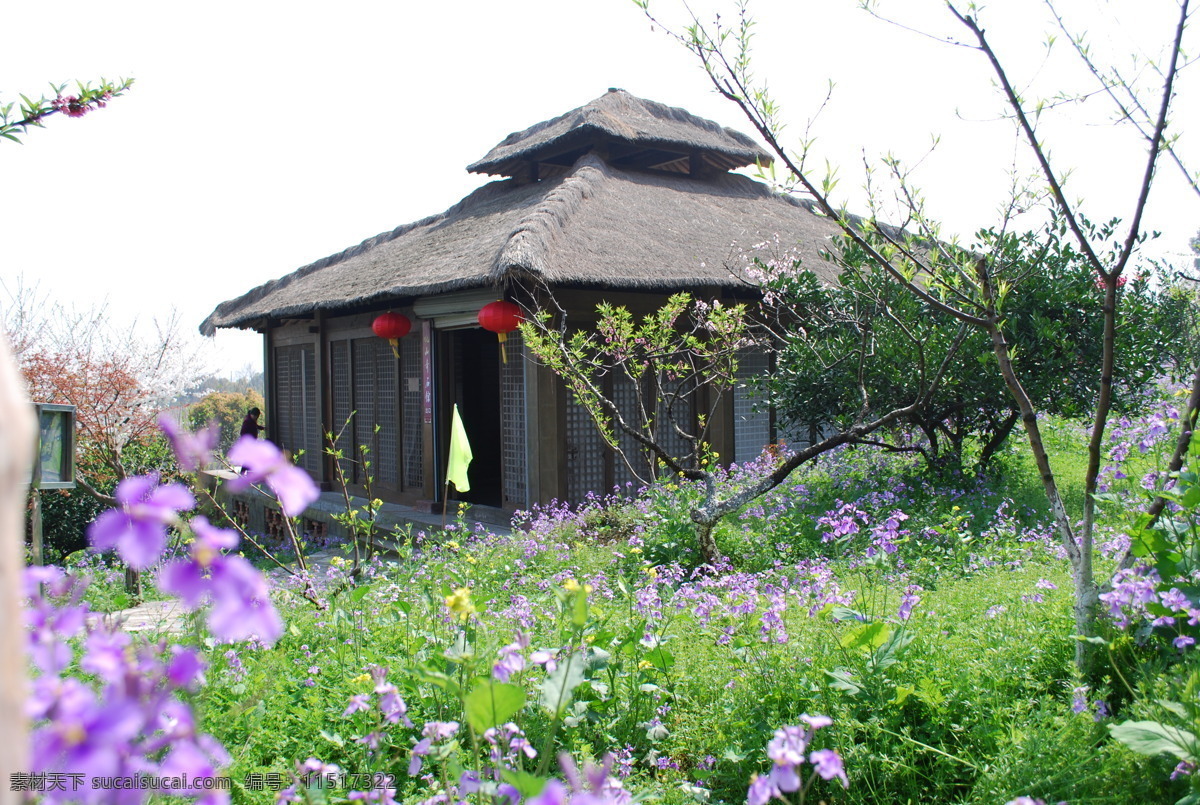 田园风光 草屋 花 草 旅游摄影 自然风景 摄影图库