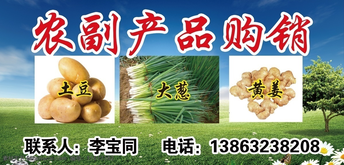 农副产品购销 土豆 黄姜 大葱 蓝天白云 草地