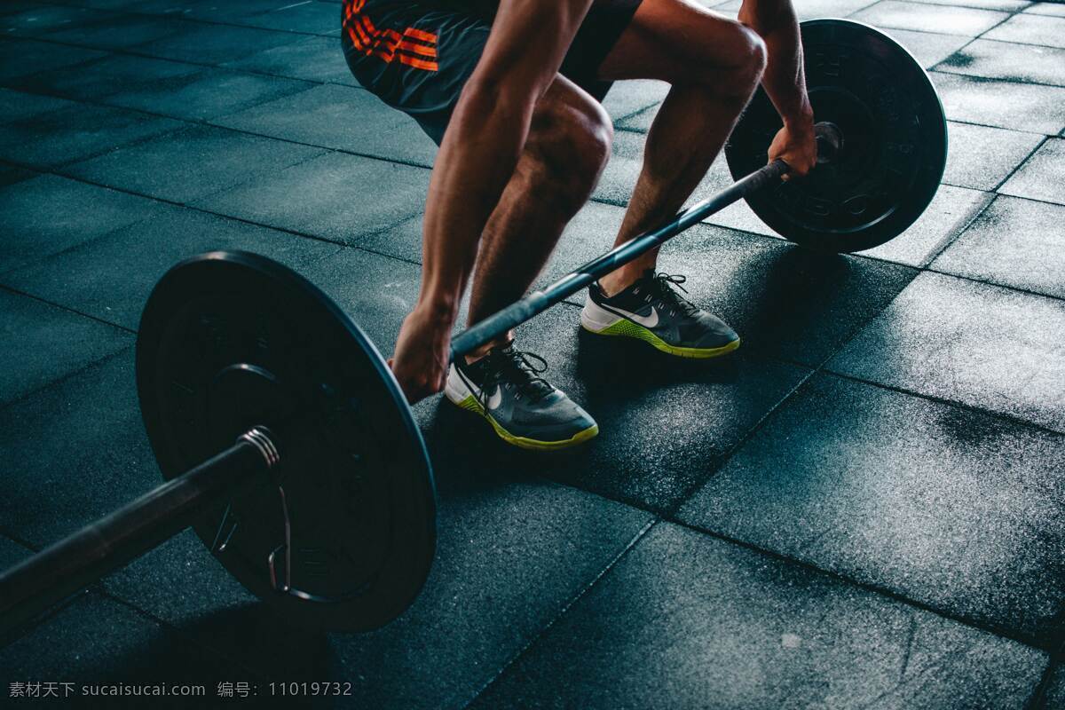 运动 健身 举重 撸铁 健身房 生活百科 生活素材