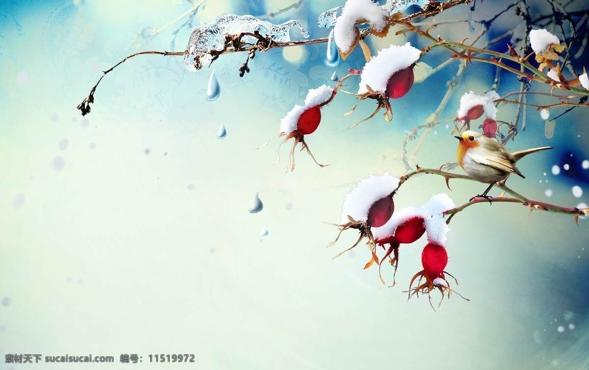 冬天 白雪 下雪 雪花 雪地 大树 春节 新年 庆祝 树枝 红果 鸟 自然风光 自然景观