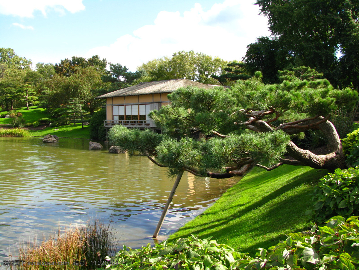 日式庭院 庭院 池水 日式 青松 绿色 园林 园林建筑 建筑园林