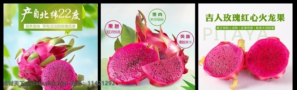 红心 火龙果 轮 播 图 火龙果轮播图 火龙果直通车 红心火龙果 火龙果图片 红心的火龙果 火龙果主图 水果轮播图 水果直通车 个人作品