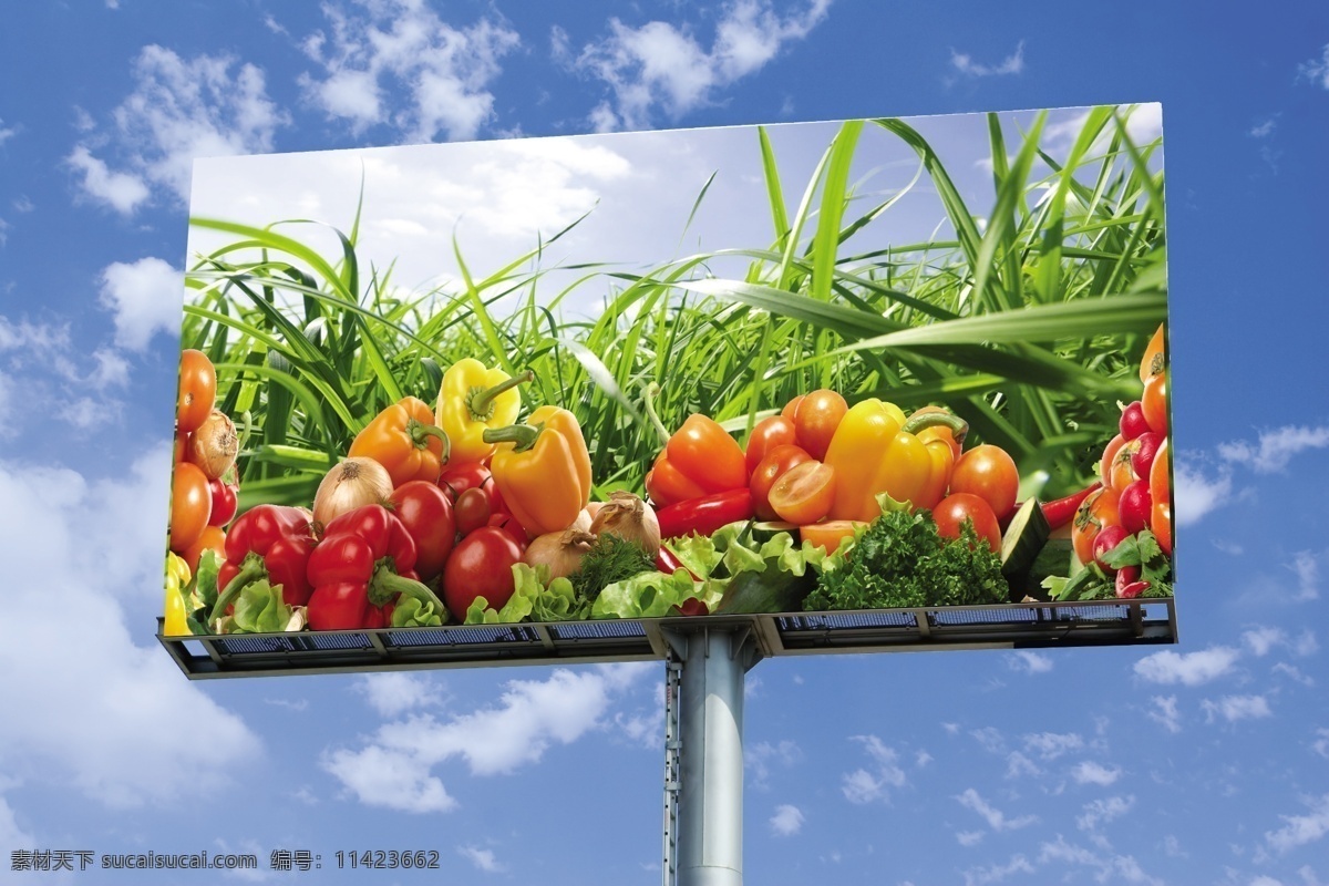 蔬菜广告牌 蔬菜广告 大型广告牌 蔬菜 高空大 广告牌 分层 背景素材