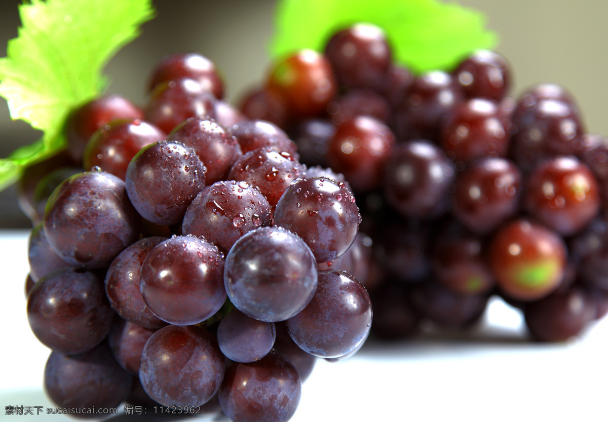 夏黑葡萄 紫葡萄 新鲜葡萄 水润葡萄 果盘 生物世界 水果