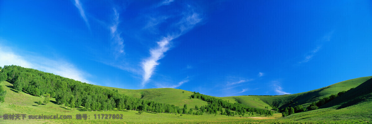 蓝天草地 蓝天 绿树 草地 白云 自然景观 自然风光 设计图库 自然风景 摄影图库