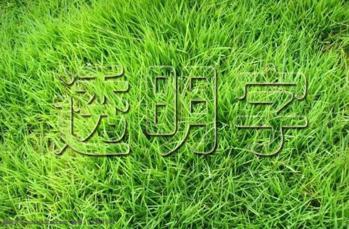 透明字体 白色 草地 绿色