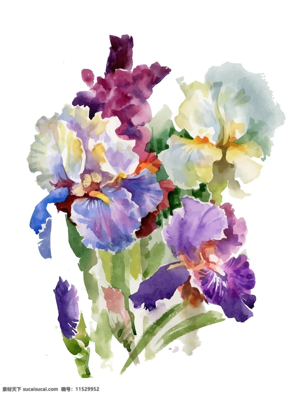 花束 蝴蝶兰 花朵 水彩 手绘 矢量 文件 紫色 水墨 夏天 中国风 国画 小花 鲜花 卡通 植物 装饰 印刷 高清