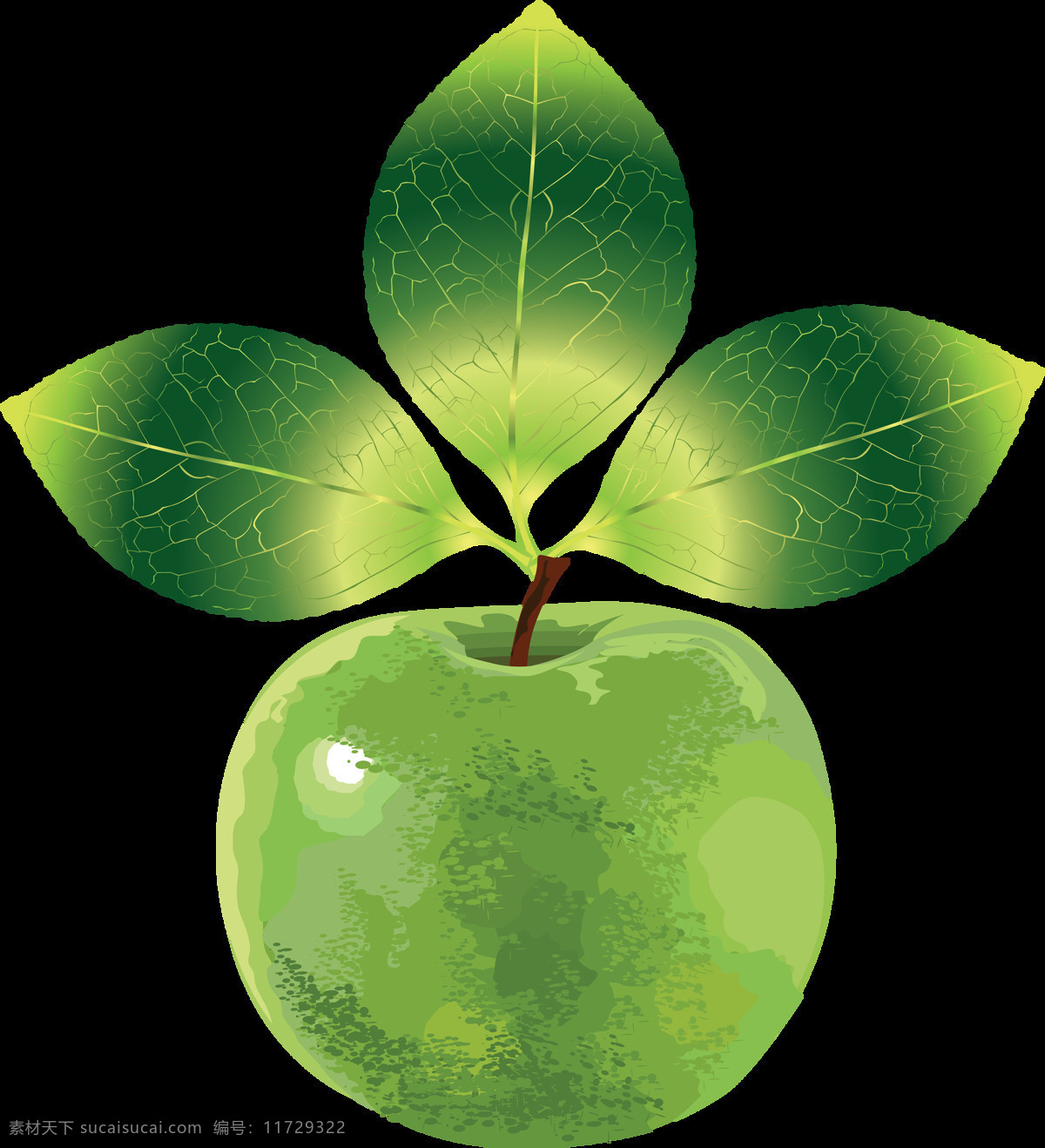 手绘 绿色 苹果 免 抠 透明 图 层 青苹果 苹果卡通图片 苹果logo 苹果简笔画 壁纸高清 大苹果 红苹果 苹果梨树 苹果商标 金毛苹果 青苹果榨汁