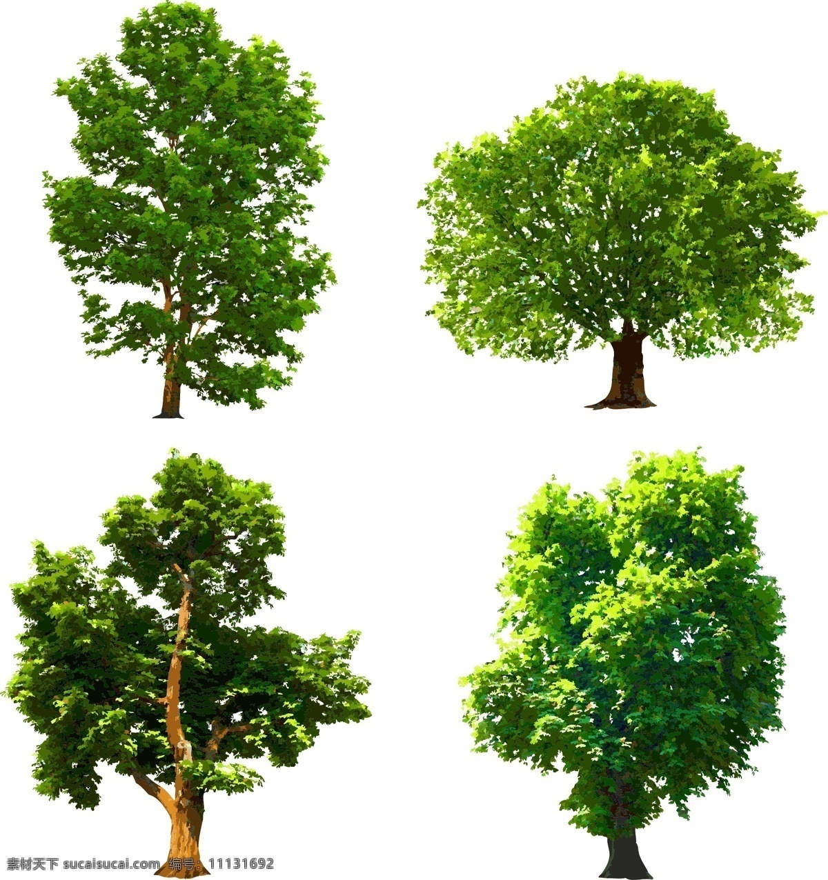 实用 矢量 树 装饰 使用 树木 矢量素材 设计素材 背景素材