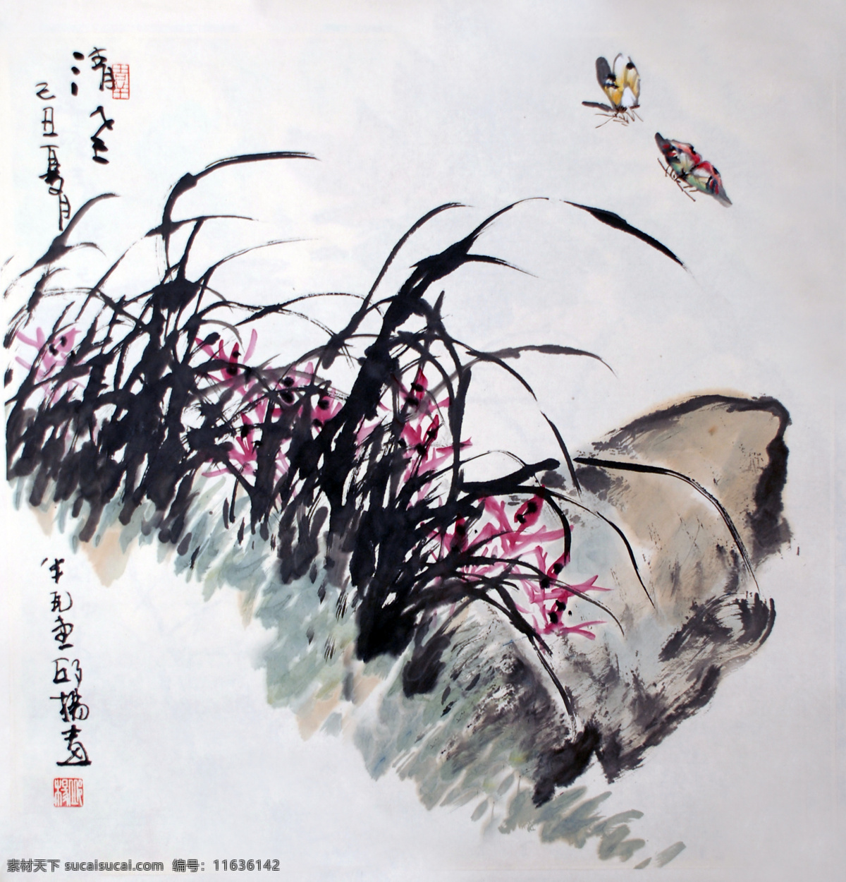 齐白石 四代 传人 书画名家 邱 杨 花鸟 国画作品 兰草 邱杨 花鸟画 书画 艺术品 八哥 麻雀 竹子 鸽子 锦鸡 绶带鸟 紫藤 鹰 山茶花 玉兰花 牡丹 字画 绘画 书法 文化 艺术 绘画书法 文化艺术