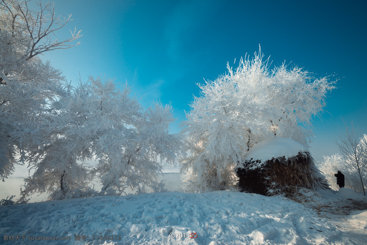 吉林雾凇岛 吉林 雾松岛 白雪 草垛 树木 树挂 蓝天 国内旅游 旅游摄影