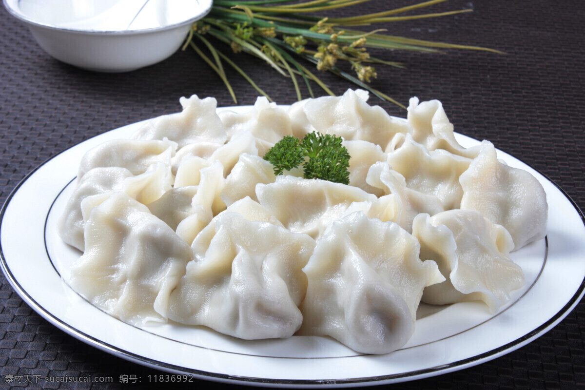 美食 菜品 菜谱 餐饮 中餐 食品 传统美食 餐饮美食 粤菜 湘菜 淮阳菜 上海菜 北京菜 鲁菜 东北菜 小炒 炒菜 蒸菜 三鲜水饺 猪肉韭菜水饺 猪肉大葱水饺 煎饺 蒸饺 面点 面食 主食 高清 写真照片