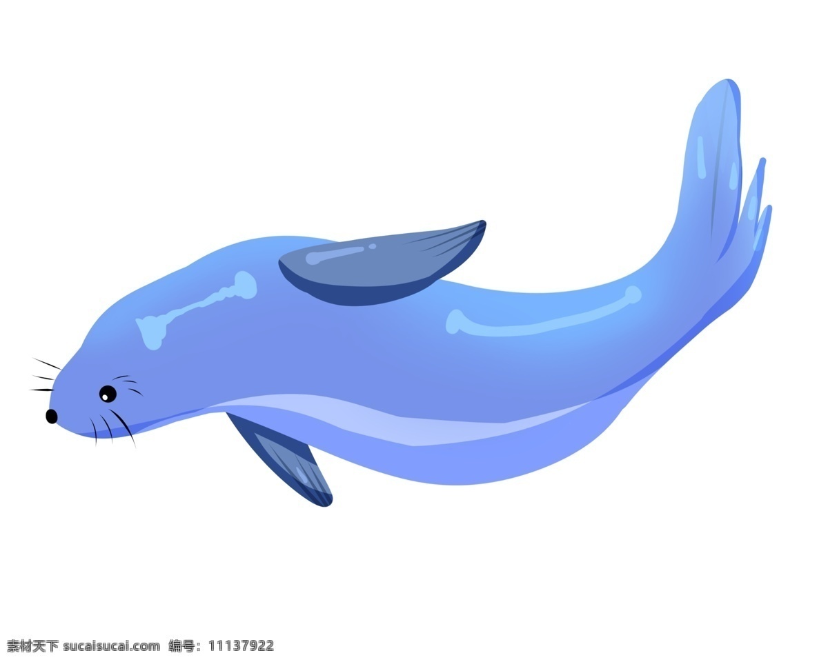 海豚海洋生物 海洋 生物 海豚