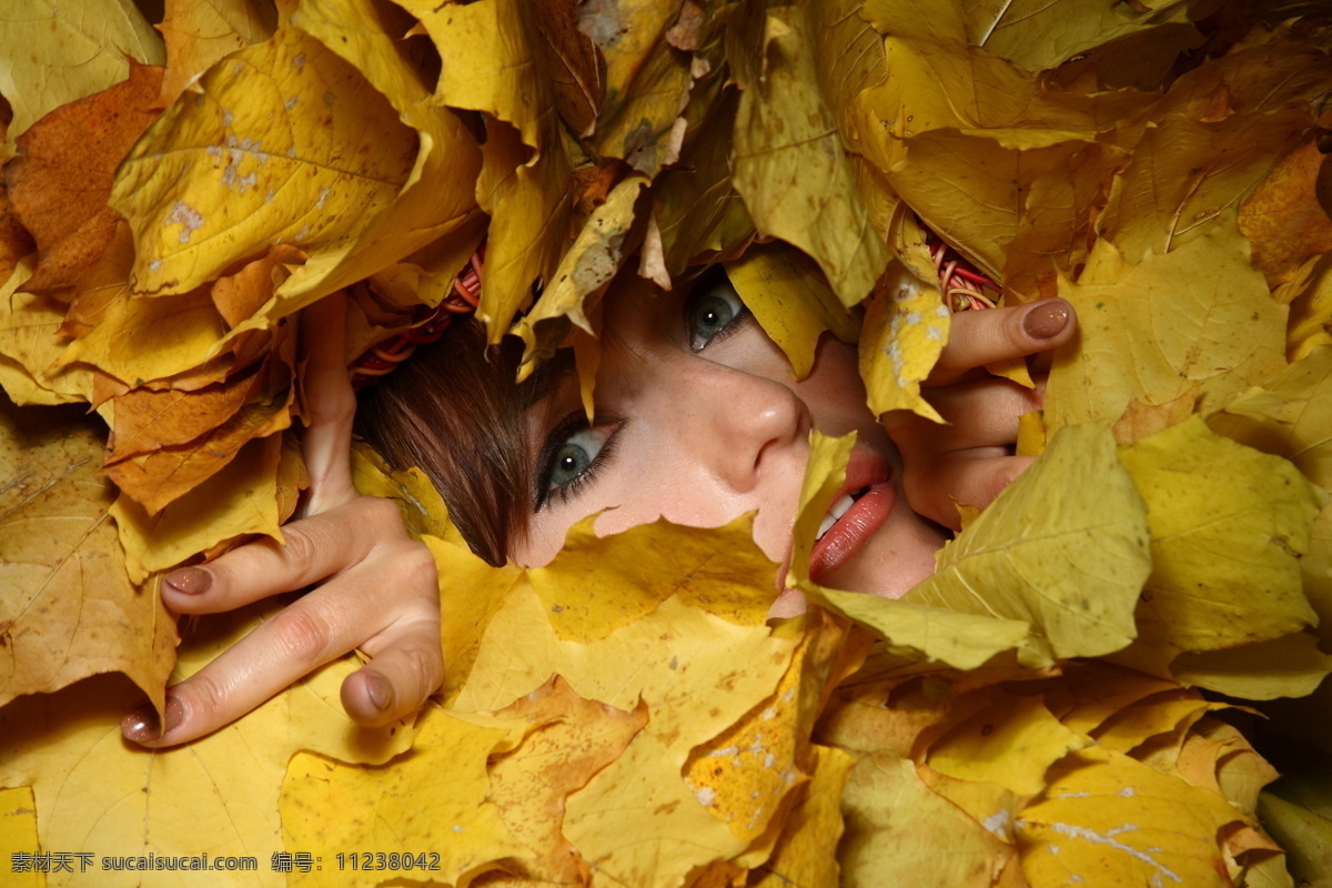 秋天 树叶 美女模特 女孩 枫叶 黄叶 外国女性 美女 模特 美女写真 艺术照 艺术摄影 美女图片 人物图片