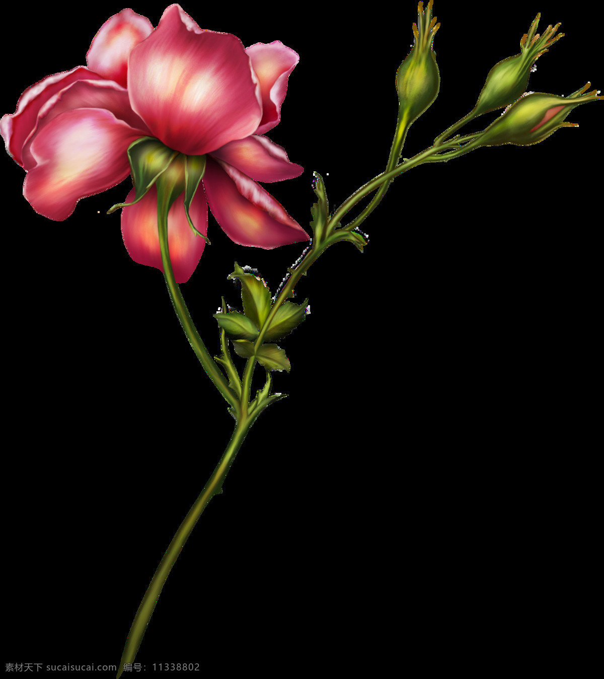 手绘花卉 花卉 鼠绘花 线条花 手绘线条花 鼠绘线条花 花线条 花经脉 彩绘花 欧式手绘花 欧式花设计 手绘装饰画 手绘花无框画 无框画 大花 彩色线条花 手绘花朵 手绘质感花卉 手绘花卉墙纸 复古花卉壁纸 电脑手绘花 花卉插画 花纹理 花朵 花朵纹理 服装花型 鲜花