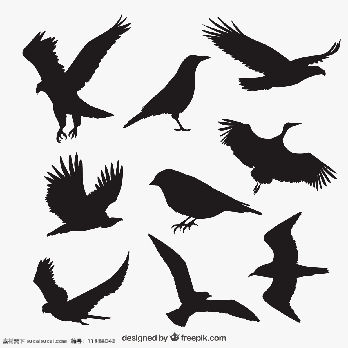 鸟剪影 自然 动物 翅膀 羽毛 丛林 黑色 集团 动物园 剪影 野生 野生动物 麻雀 大纲