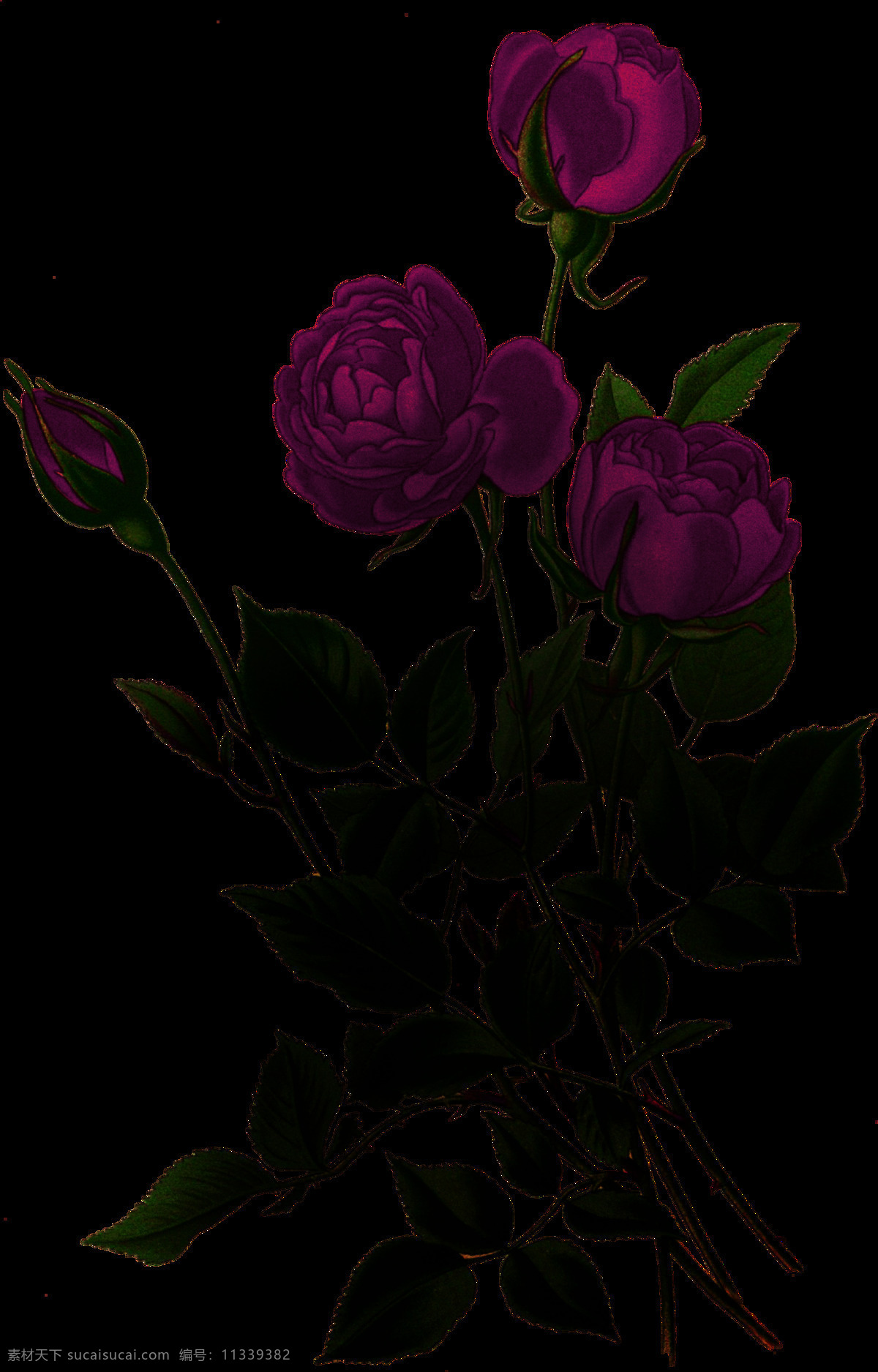 暗黑 风 植物 花朵 暗黑风 装饰图案 哥特 恐怖 吓人 万圣节 花纹