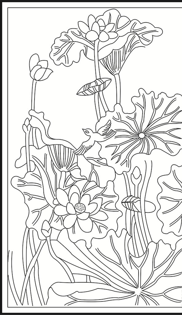 荷花 植物 花卉 观赏 草本花卉 中通外直 线条 矢量 传统 装饰 插画 白描 线条装饰纹样 文化艺术 传统文化