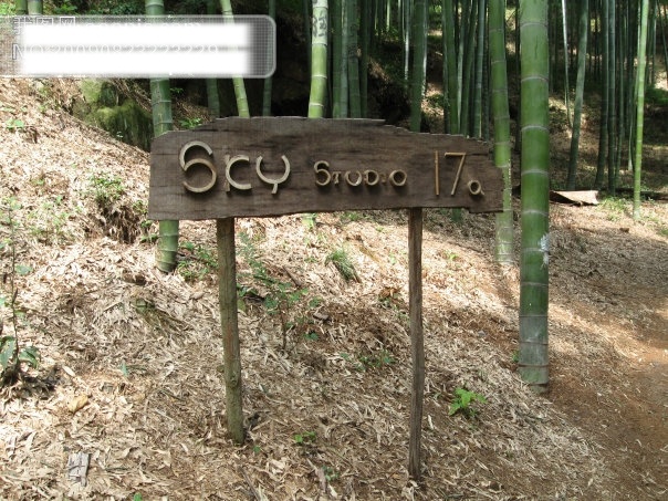 奇怪 门牌号 杭州 旅游摄影 绿色植物 木 群山 摄影图 竹林 竹子 奇怪的门牌号 德清 莫干山 杭州旅游 风景图片 风景 生活 旅游餐饮