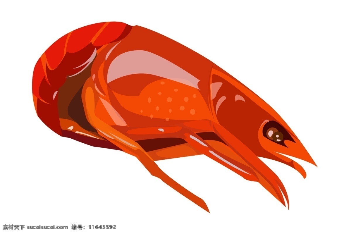 卷曲 小 龙虾 插画 卷曲的龙虾 卡通插画 动物插画 龙虾插画 深海龙虾 淡水龙虾 红色的龙虾