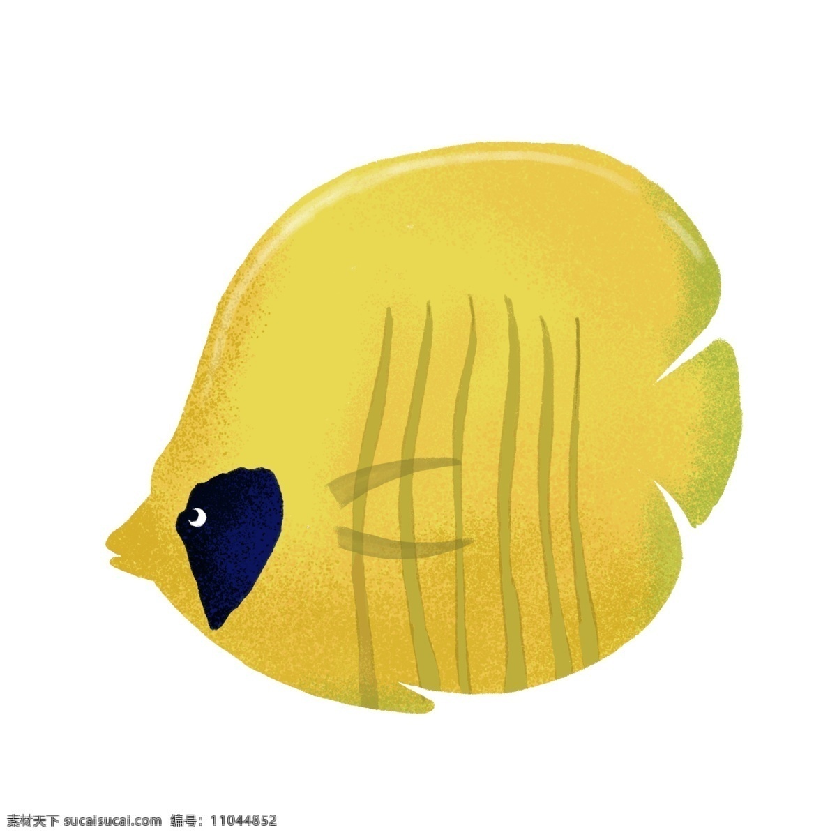 小鱼海洋生物 海洋 生物 小鱼